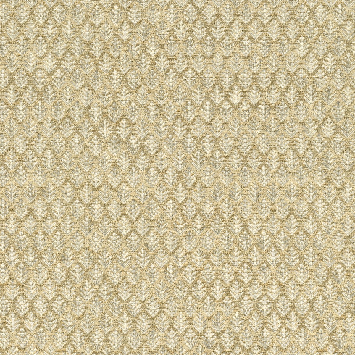 Fern Fair Wheat P/K Lifestyles Fabric
