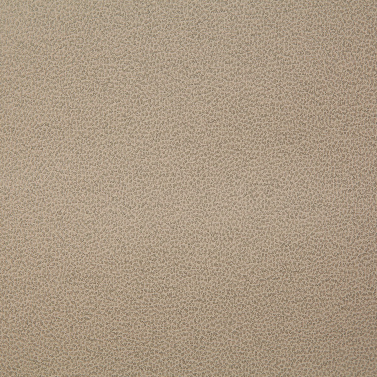 8078 LASSO-FAWN - Pindler Fabric