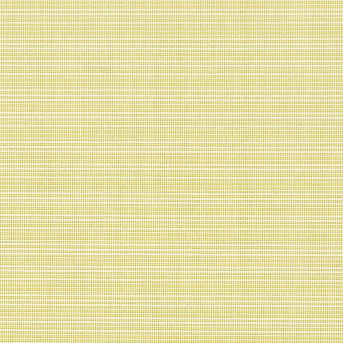 Charlotte - D2838 - Citrus - Fabric by the Yard - Citrus
