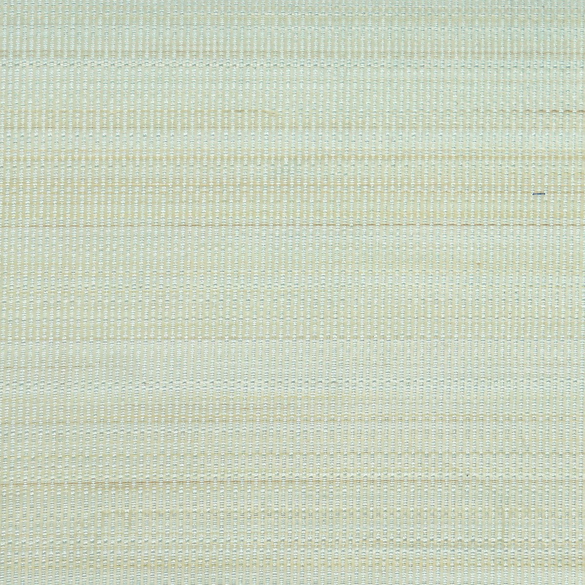 Paso Horsehair - Pale Blue by Scalamandre Fabric
