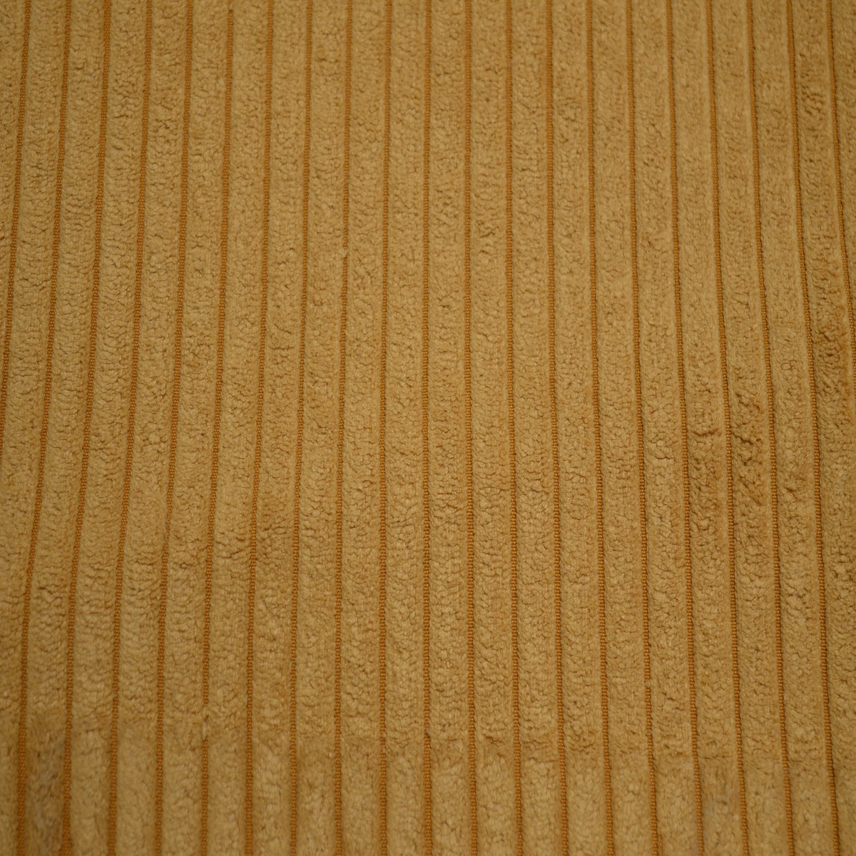 Taxi Gold Regal Fabric