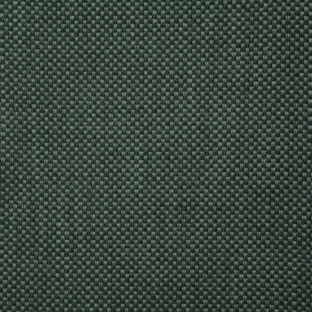 7719 PLAZA-FOREST - Pindler Fabric