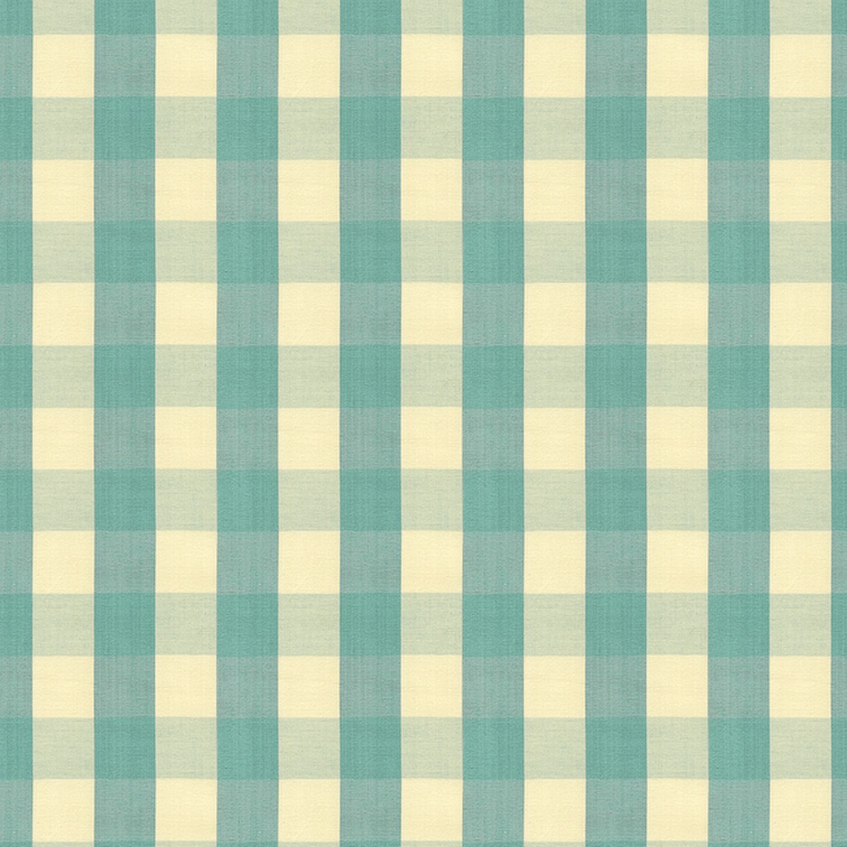 Carsten Check - Aqua