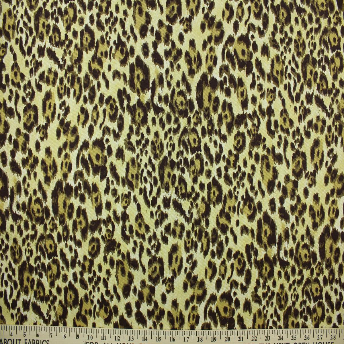 Cheetah in Brown