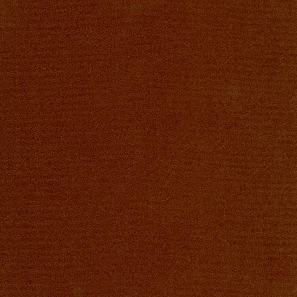 Map Nutmeg Regal Fabric
