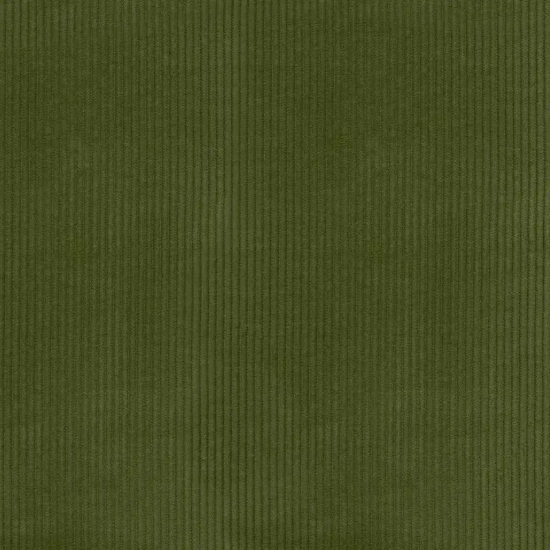 Wales Avocado P/K Lifestyles Fabric