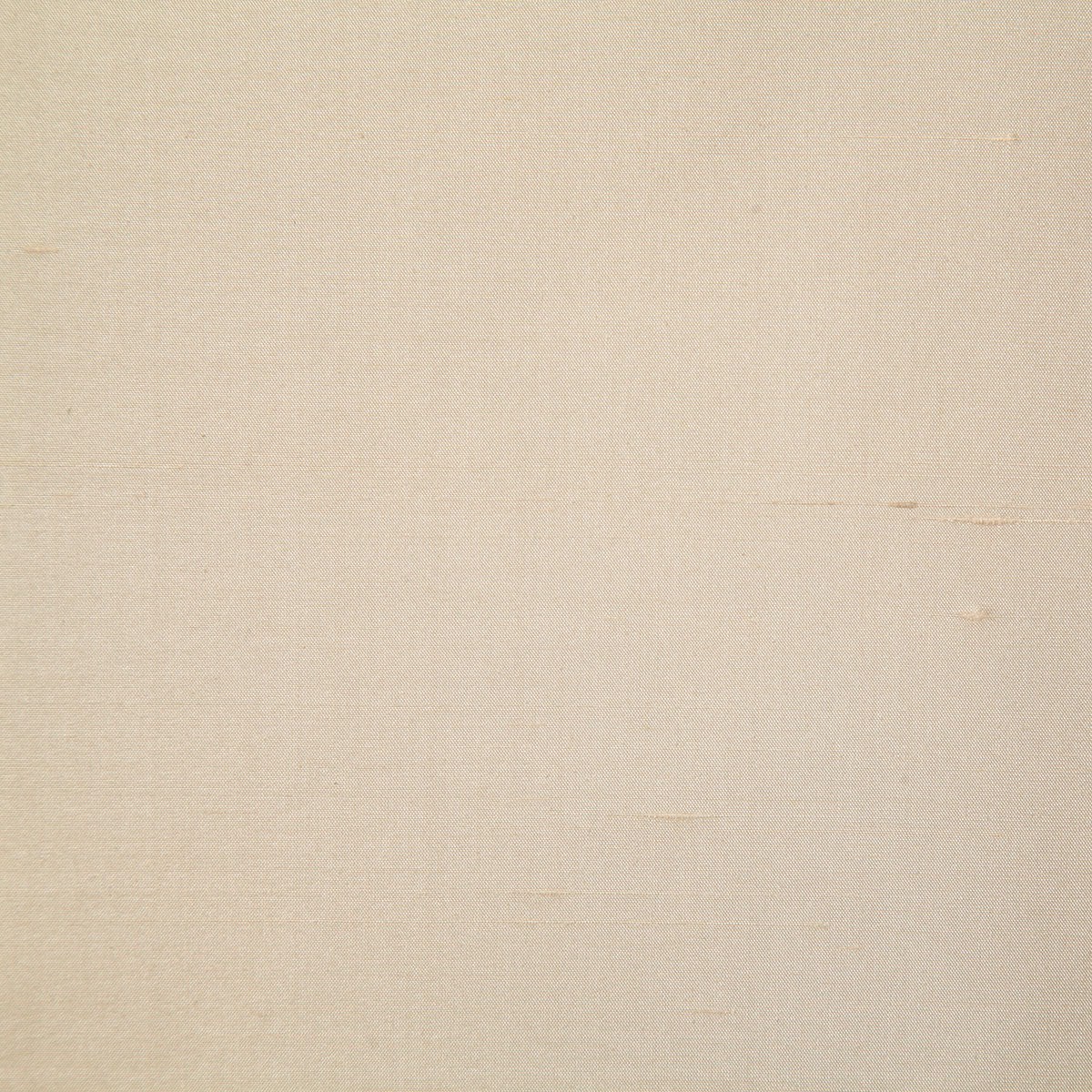 1888 DOUPPIONI-SHELL - Pindler Fabric