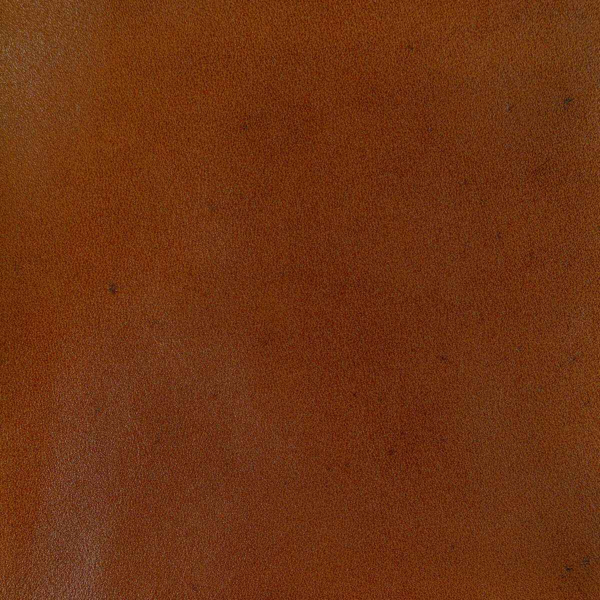Ladobeochre0 Kravet Design L Adobe Ochre Kravet Design Fabric