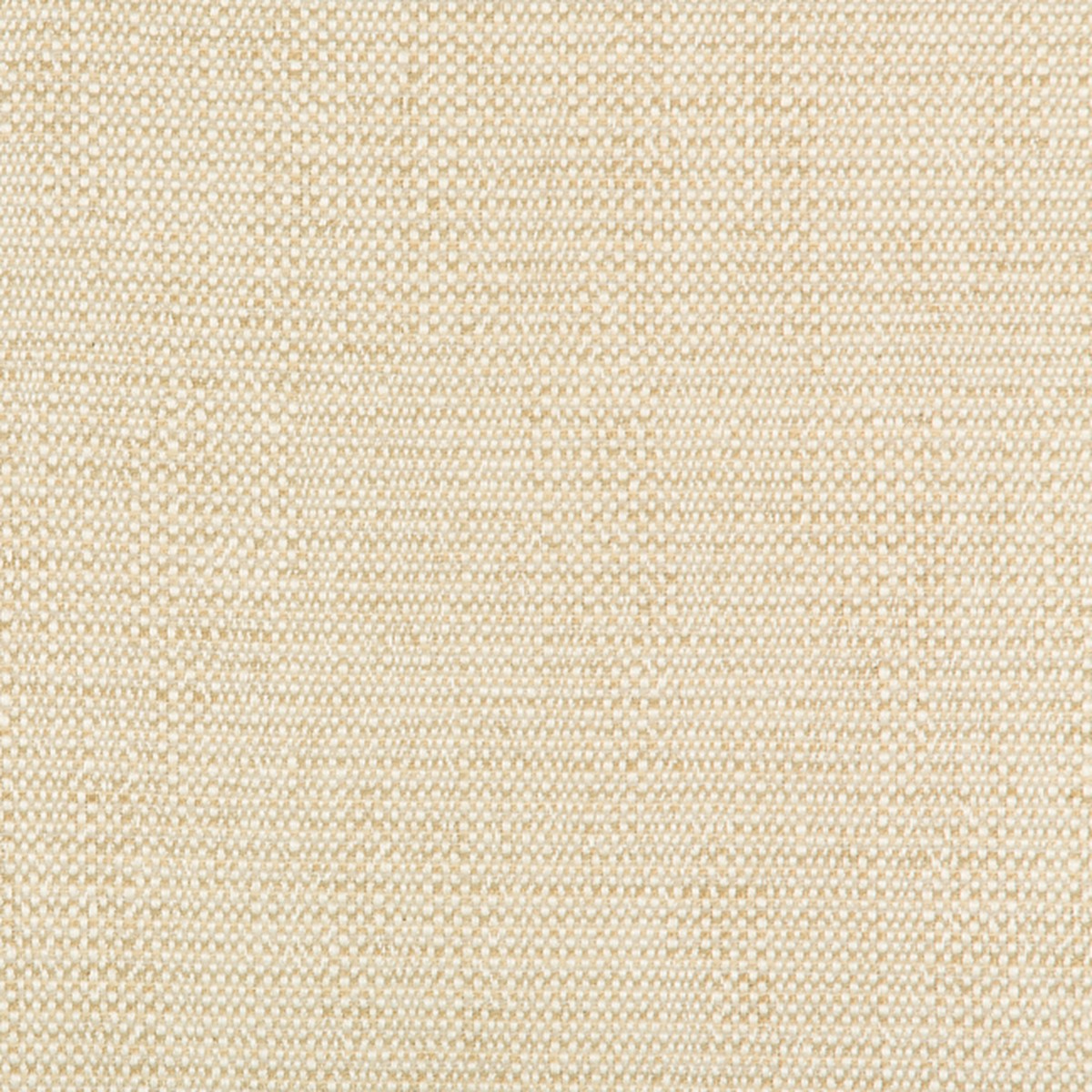 35135.116.0 By Kravet Design