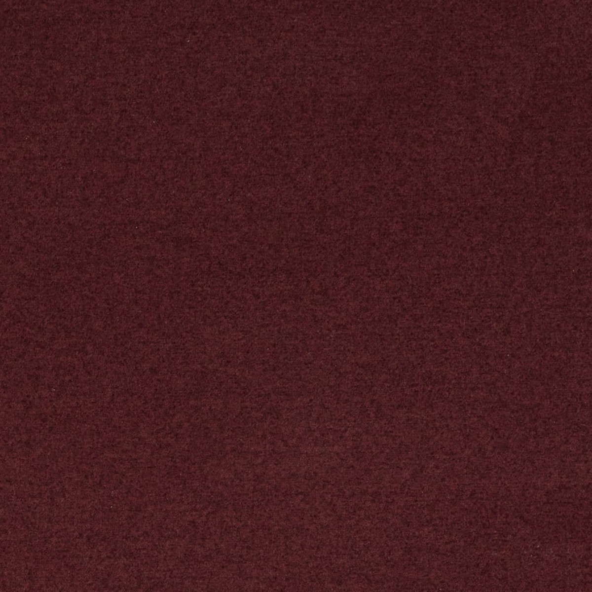D4670 Currant