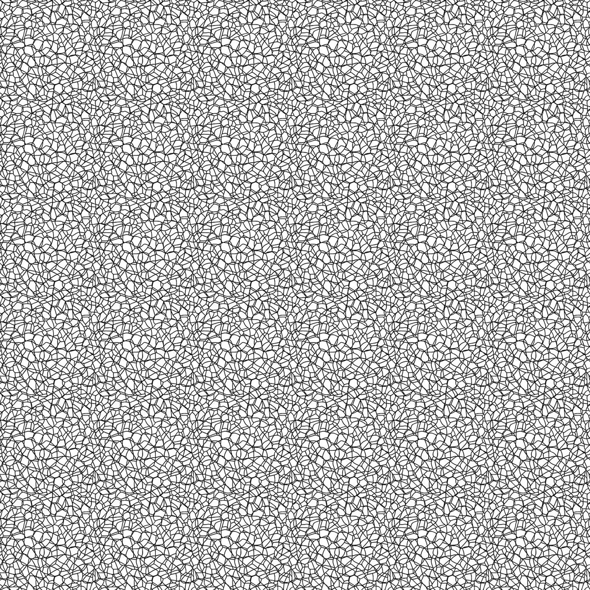 Basically Black & White - Voronoi Positive (10725-11) - Patrick Lose - Northcott - Full Bolt (10m) (Pre-order: Aug 2026)