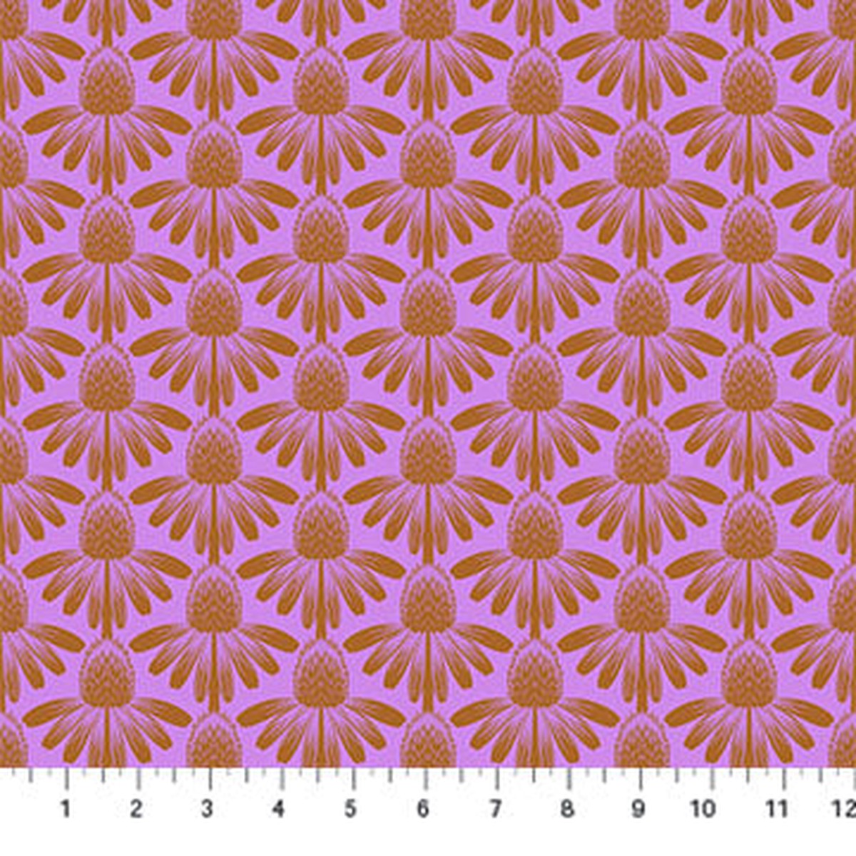 Indelible - Coneflower Taffy (AMT1001-90V) - Anna Maria - Northcott - Full Bolt (10m)