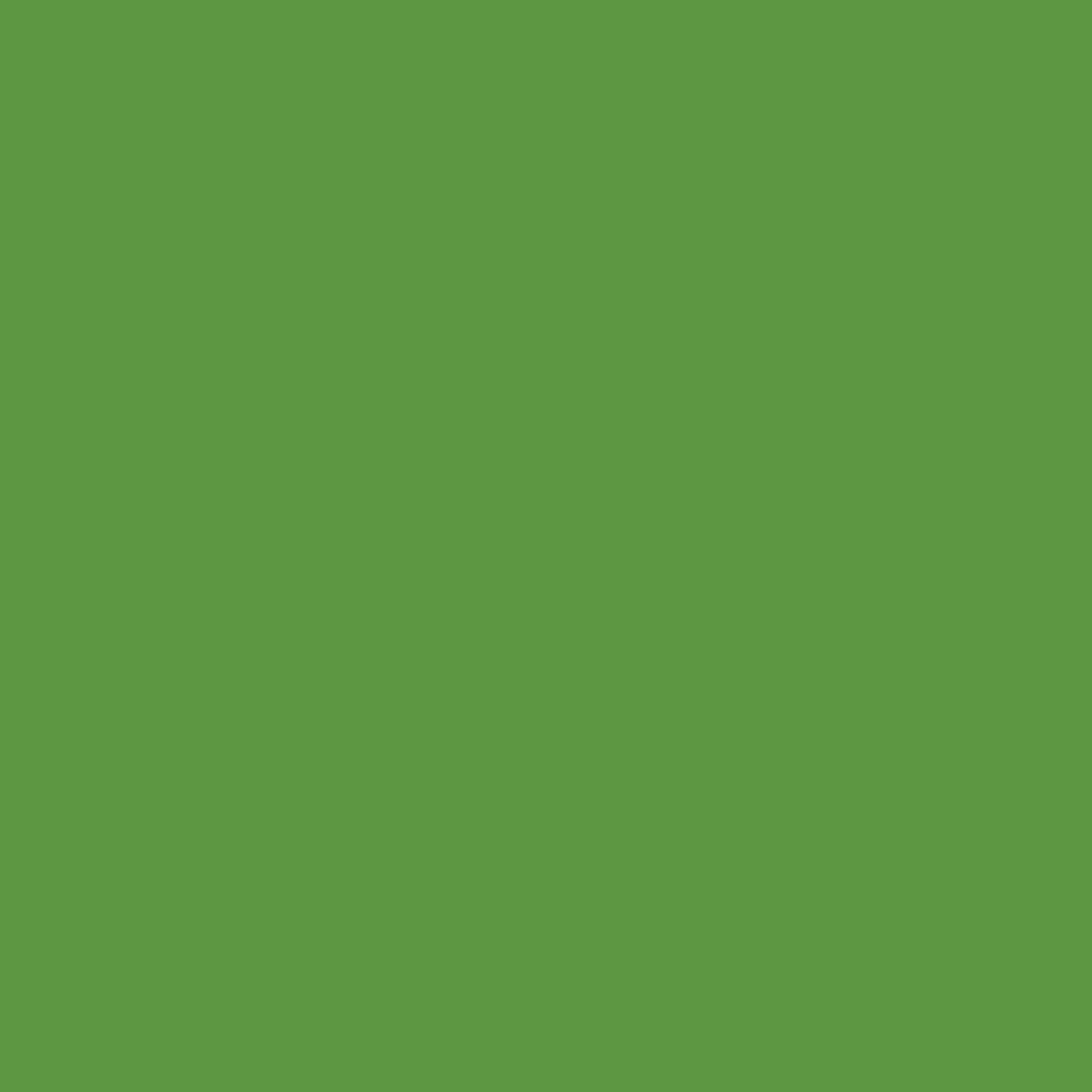 Colorworks Solids - Gecko (9000-767) Full Bolt (12m)