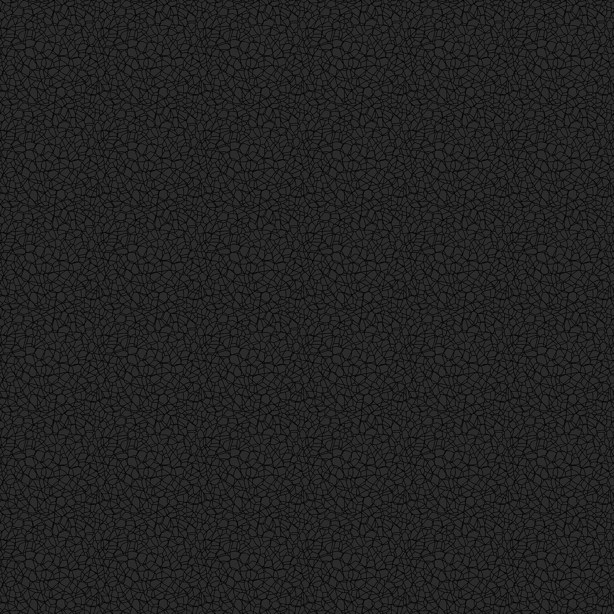 Basically Black & White - Voronoi Black (10725-99) - Patrick Lose - Northcott - Full Bolt (10m) (Pre-order: Sept 2026)