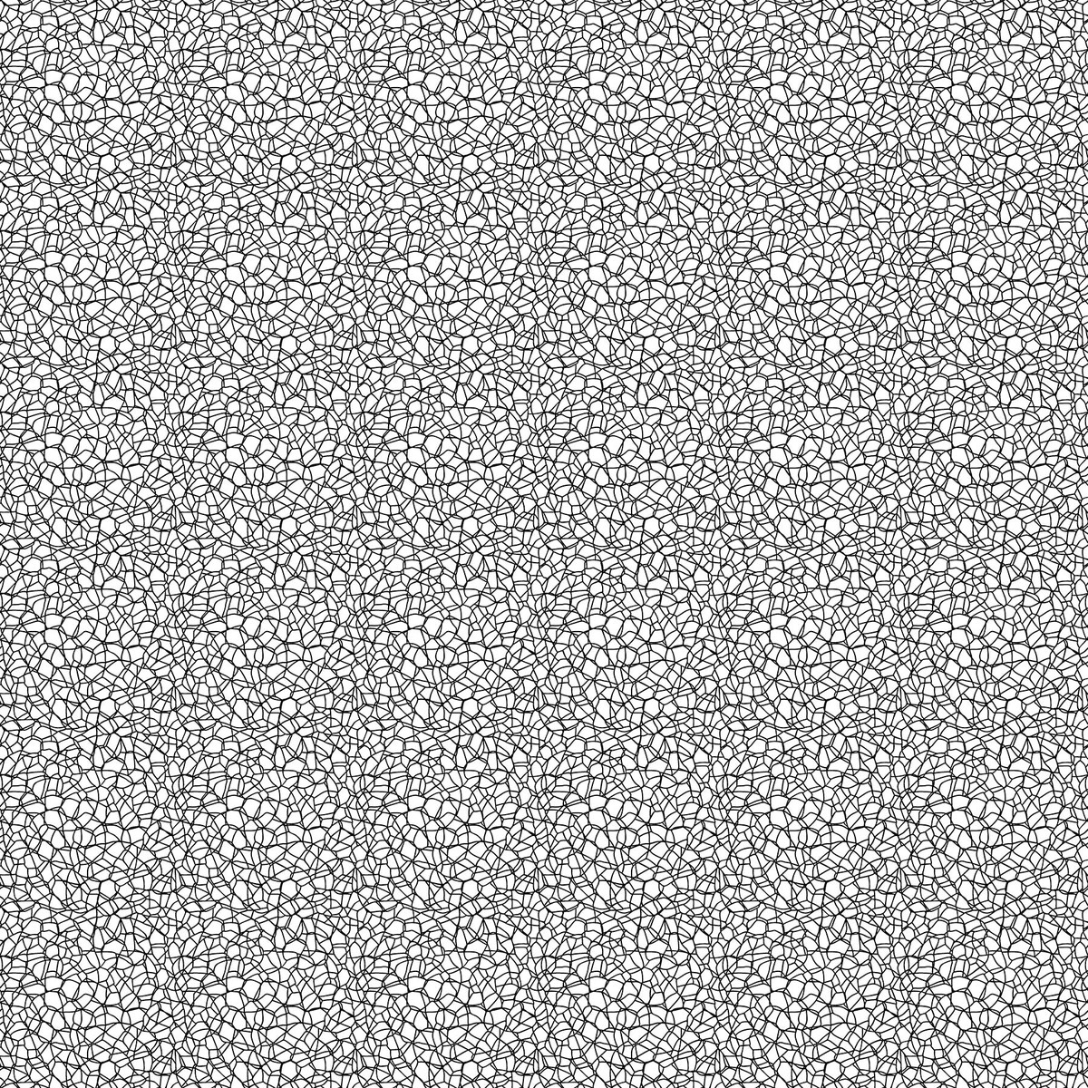 Basically Black & White - Voronoi Positive (10725-11) - Patrick Lose - Northcott - Full Bolt (10m) (Pre-order: Sept 2026)