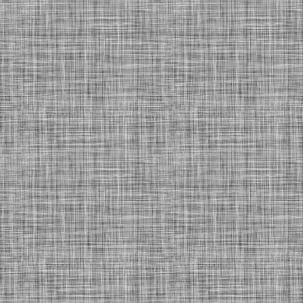 Basically Black & White - Lily's Linen Negative (10729-98) - Patrick Lose - Northcott - Full Bolt (10m) (Pre-order: Sept 2026)