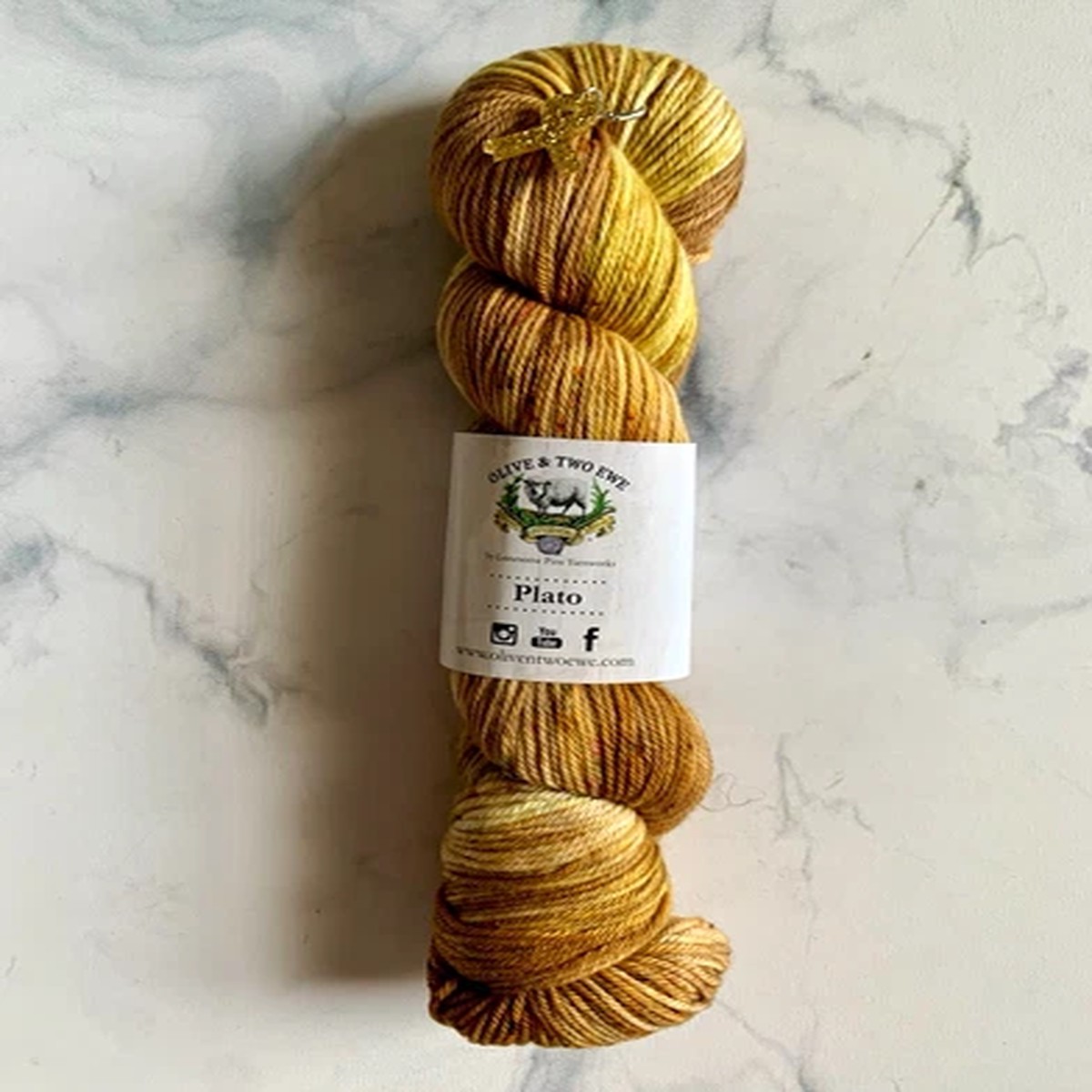 Olive & Two Ewe Studios Plato DK 4-Ply Hand Dyed SW Merino/Nylon 100g 245yds