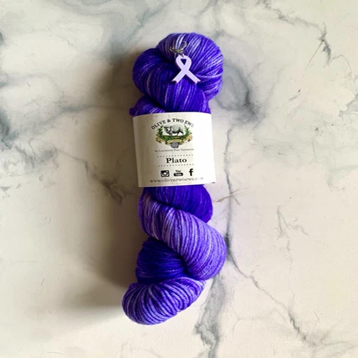 Olive & Two Ewe Plato DK Yarn SW Merino/Nylon Hand Dyed Purple Hank Knitting