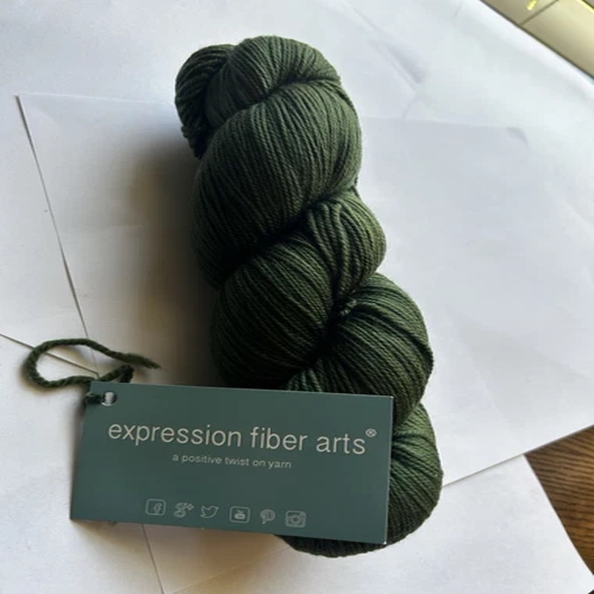 Expression Fiber Arts Sincere Sock Yarn 1 Hank Colorway Moss Green