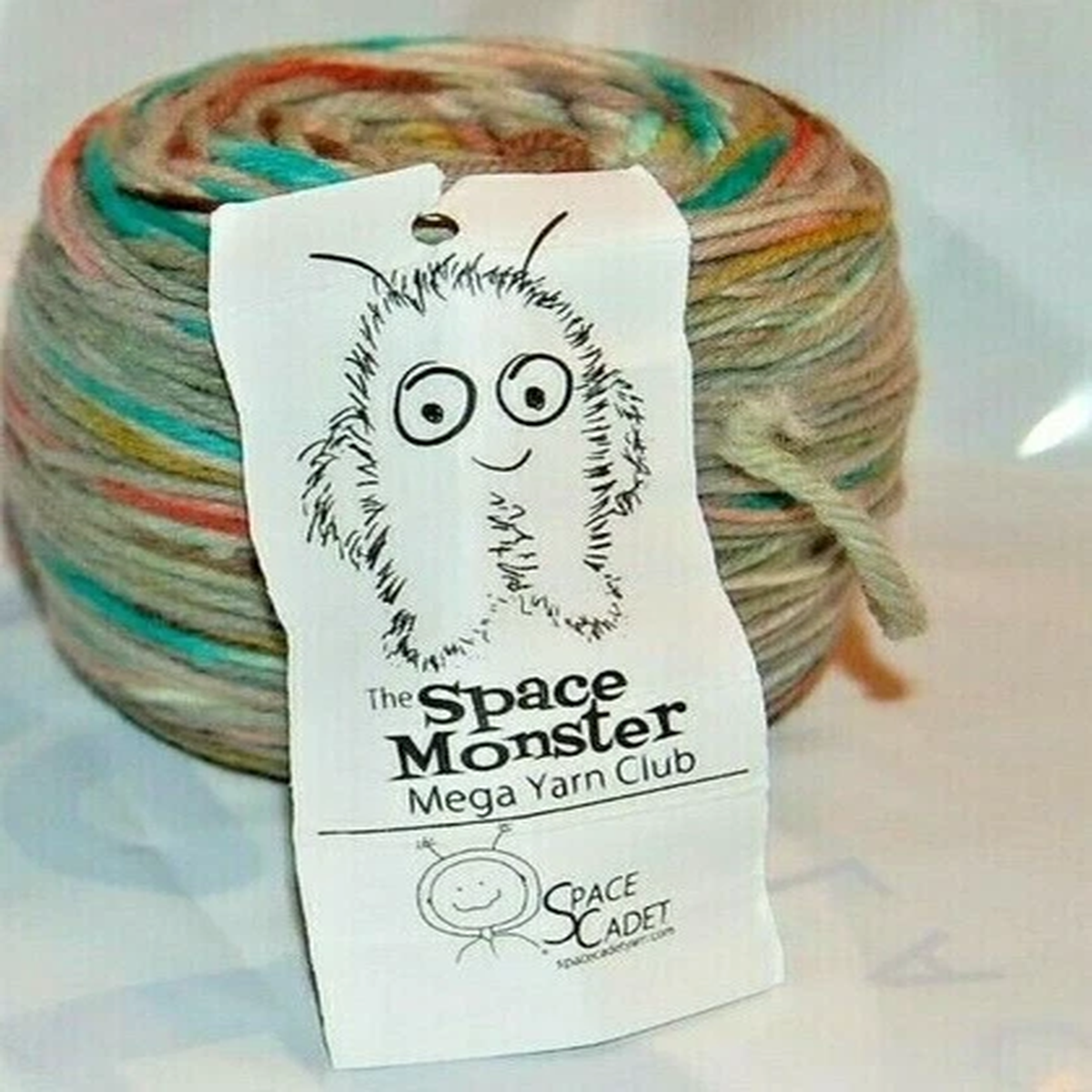 Space Cadet Super wash Merino 100g 3.5 oz Cressida Variegated greens, browns