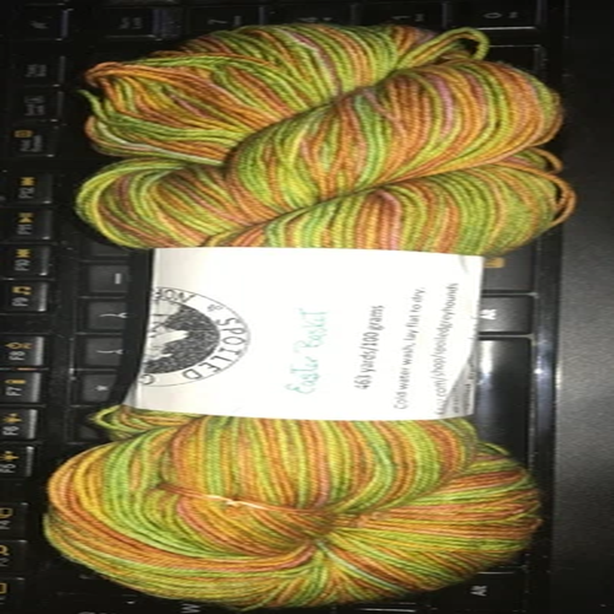 Hand-dyed yarn - Spoiled Greyhounds of the North
