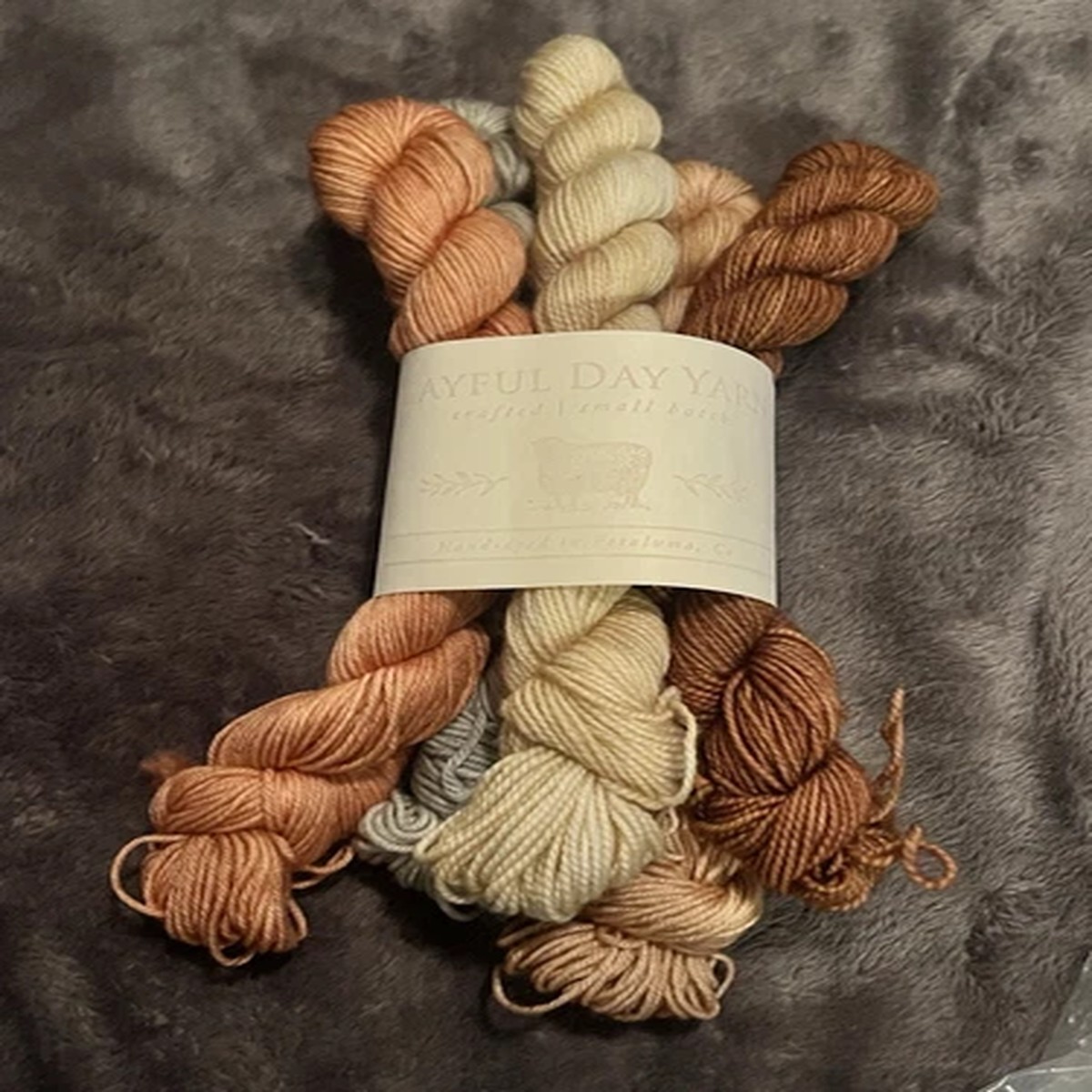 Superwash Merino Mini Skein Set (5)