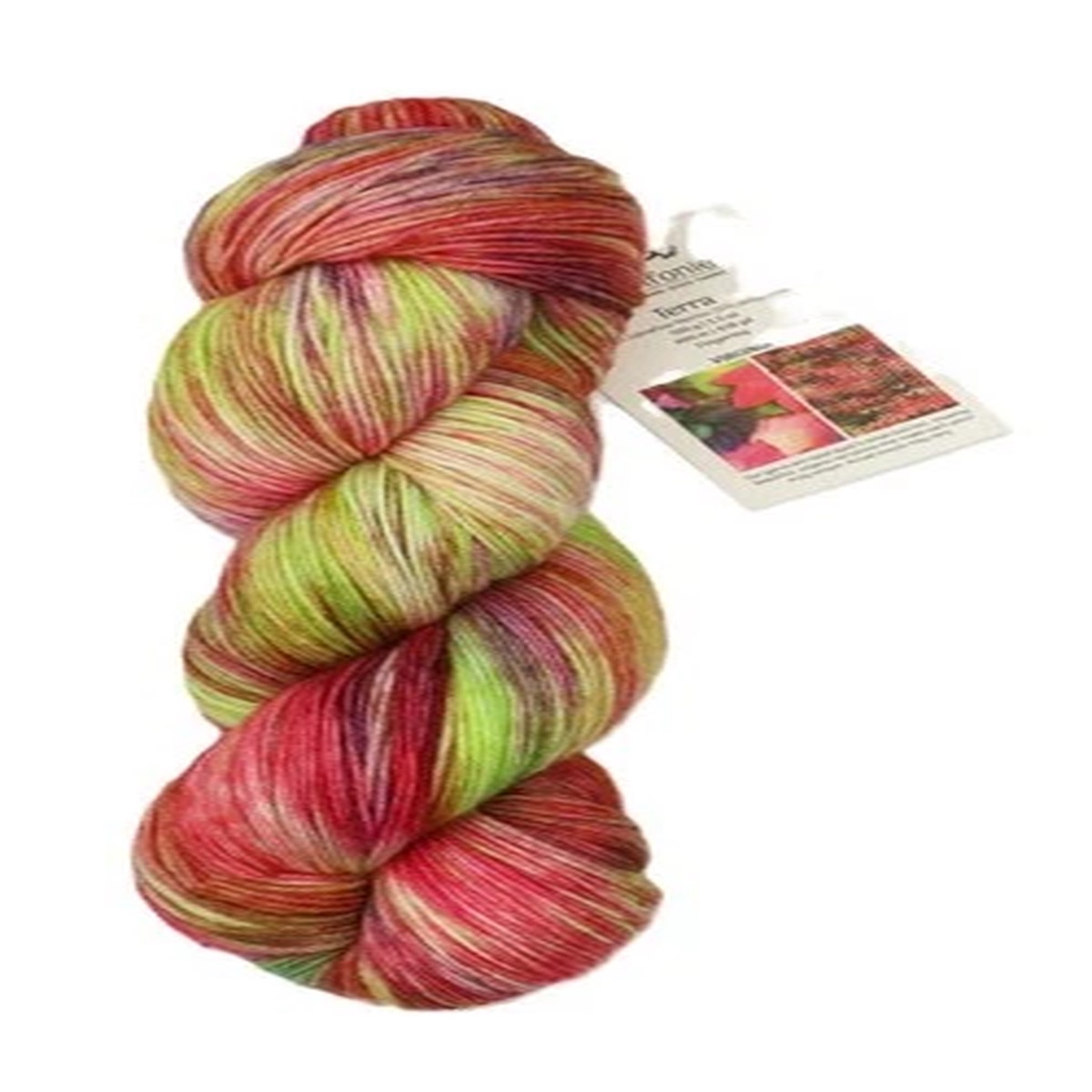 KnitPro Symfonie Premium Merino & Polyamide Sock Yarn| Terra Variegated Virginia