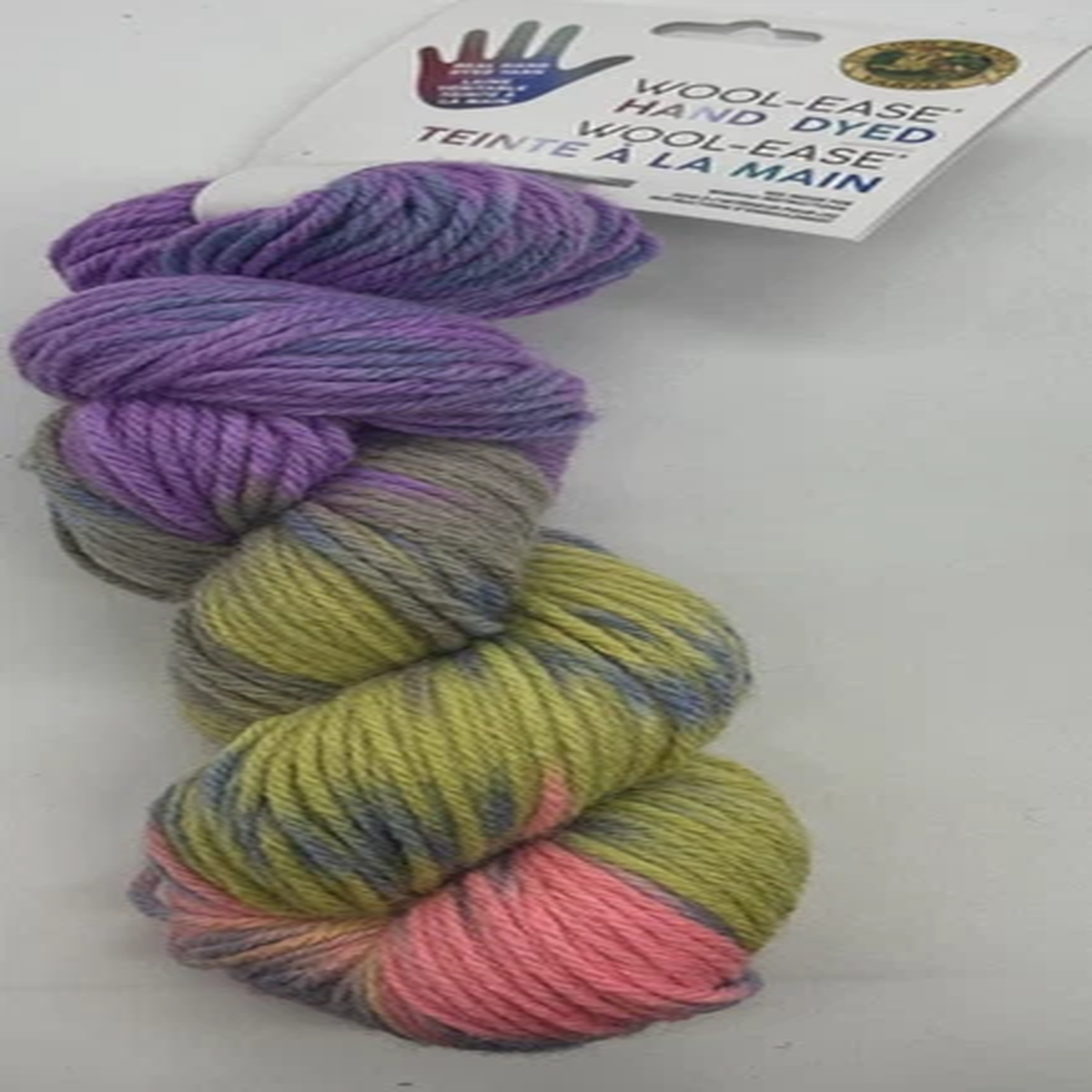 Lion Brand Wool-ease Hand Dyed Yarn "Key Lime Pie" 1 Skein #1901