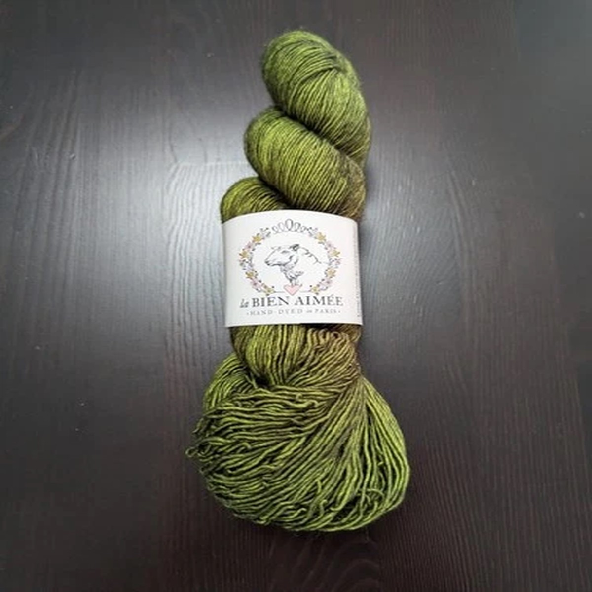La Bien Aimee Merino Singles "Shire" Hand Dyed Yarn Paris 100g 366m
