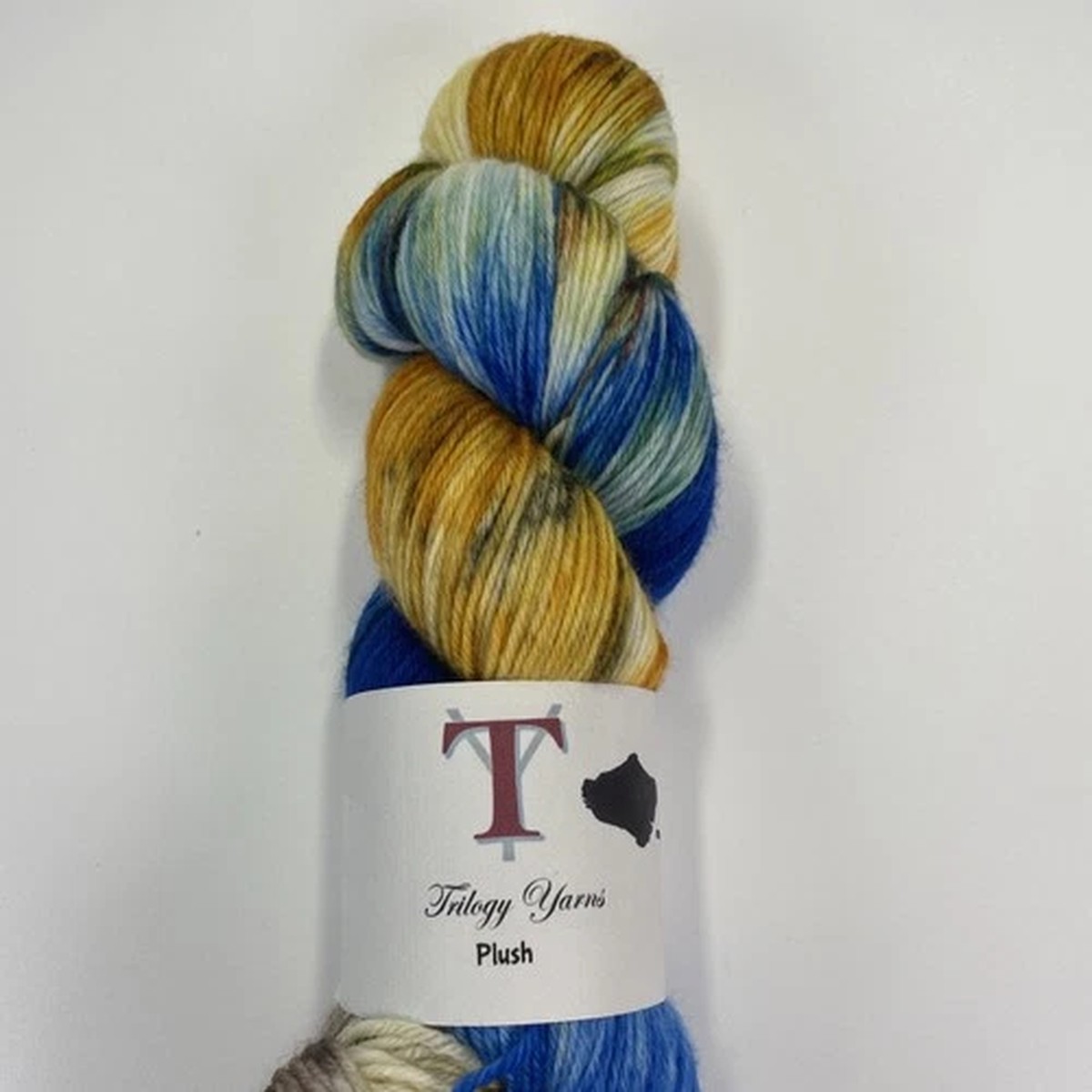 Trilogy Yarns Plush Sock Yarn Hand Dyed Cashmere SW Merino Blend ROCK OF AGES