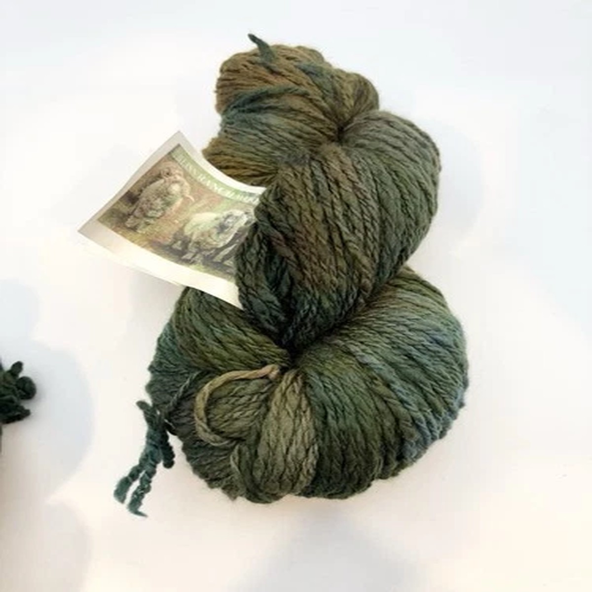 You Pick # of Skeins ~ Bliss Ranch Wools Handpainted Merino Worsted 200yds Green