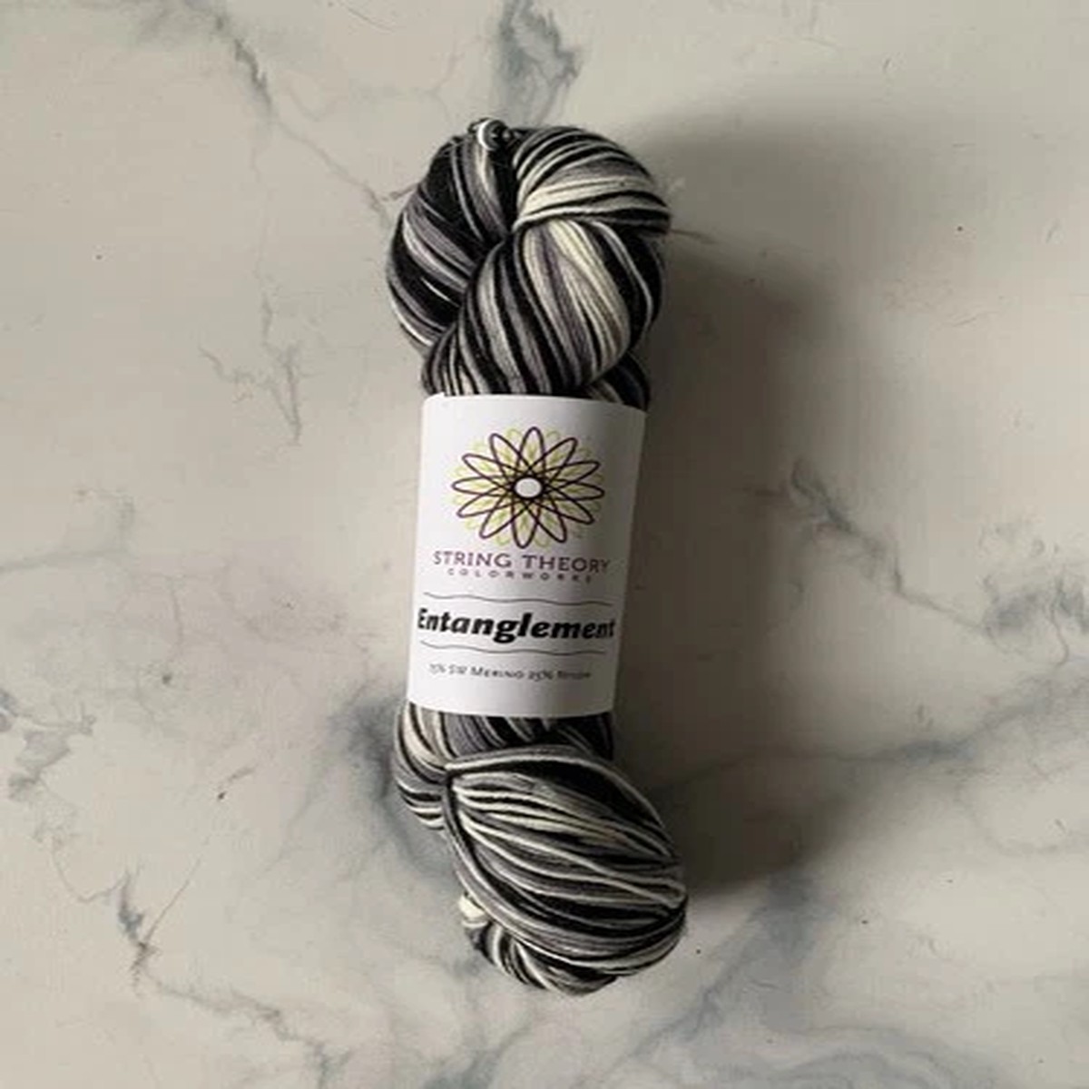 String Theory Colorworks Entanglement Striping Yarn Carbon SW 75/25 Merino Nylon
