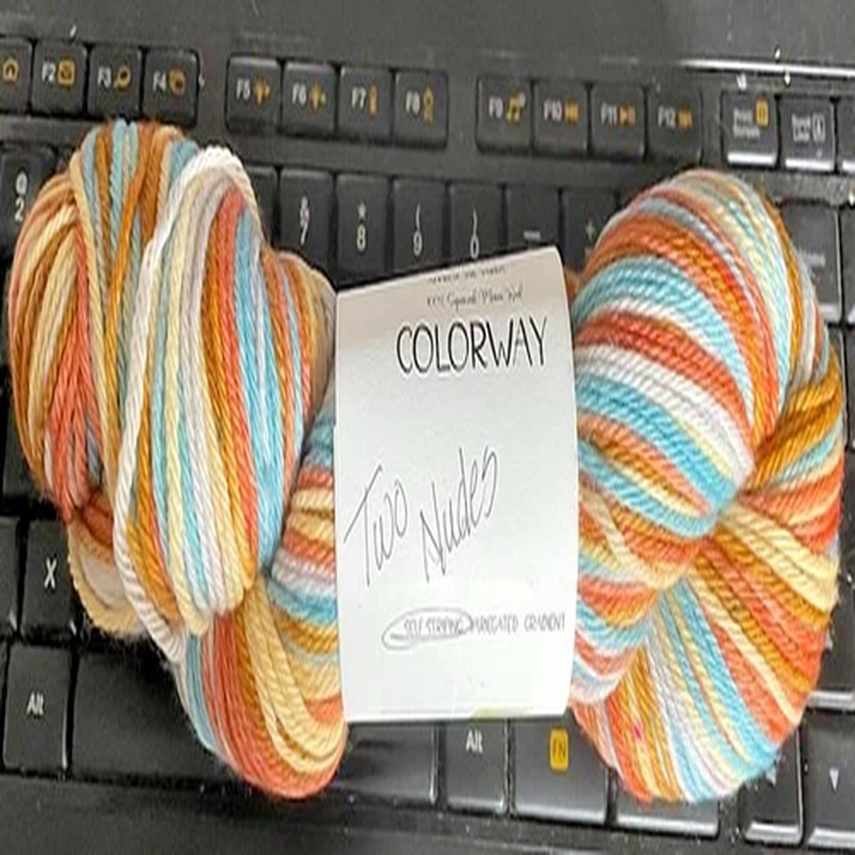 Desert Vista Dyeworks - Worsted - Self Striping Yarn