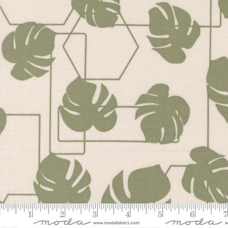 Potted Collection Monstera Geo Canvas Cotton Fabric 26142