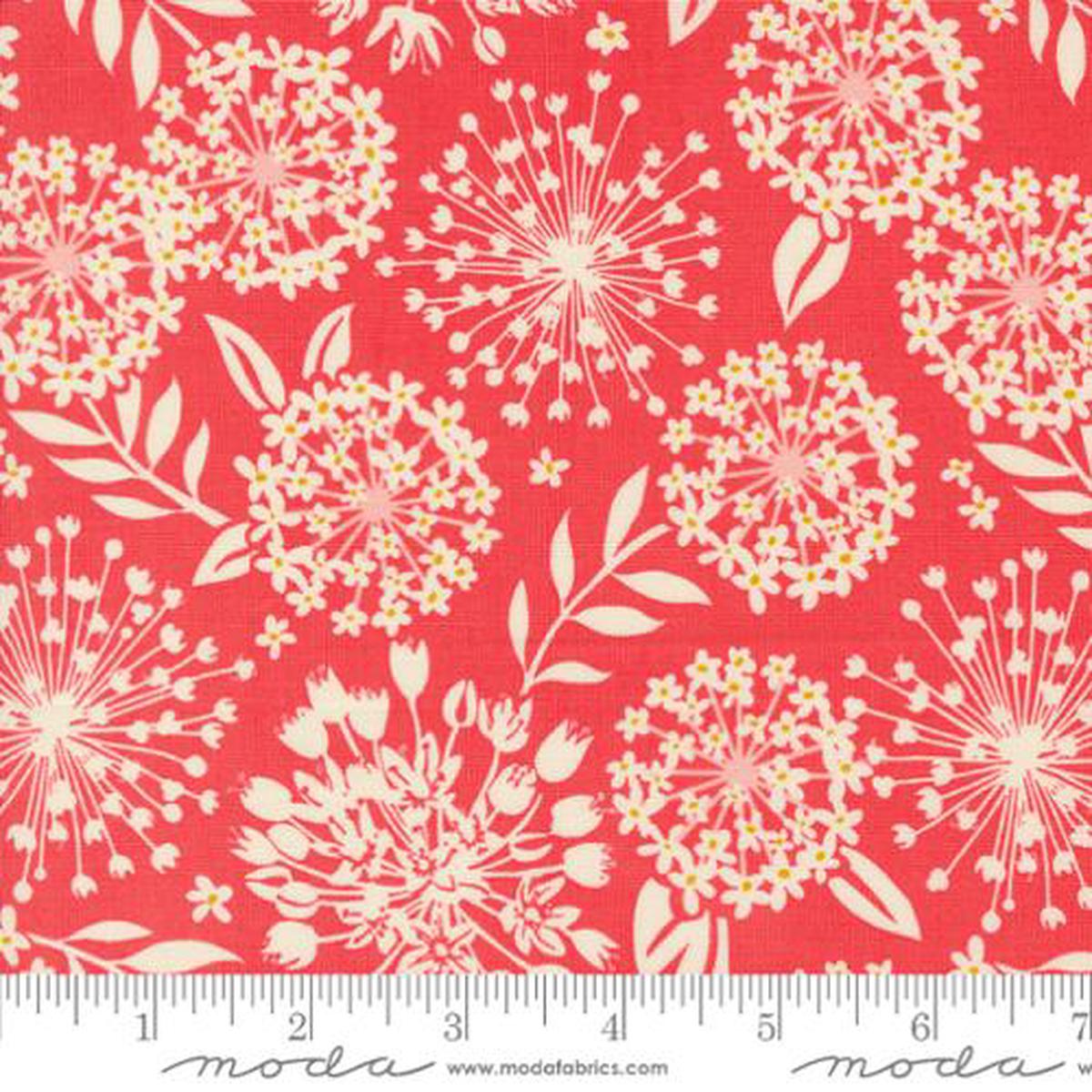 Tango Collection Simpatico Cotton Fabric 27332