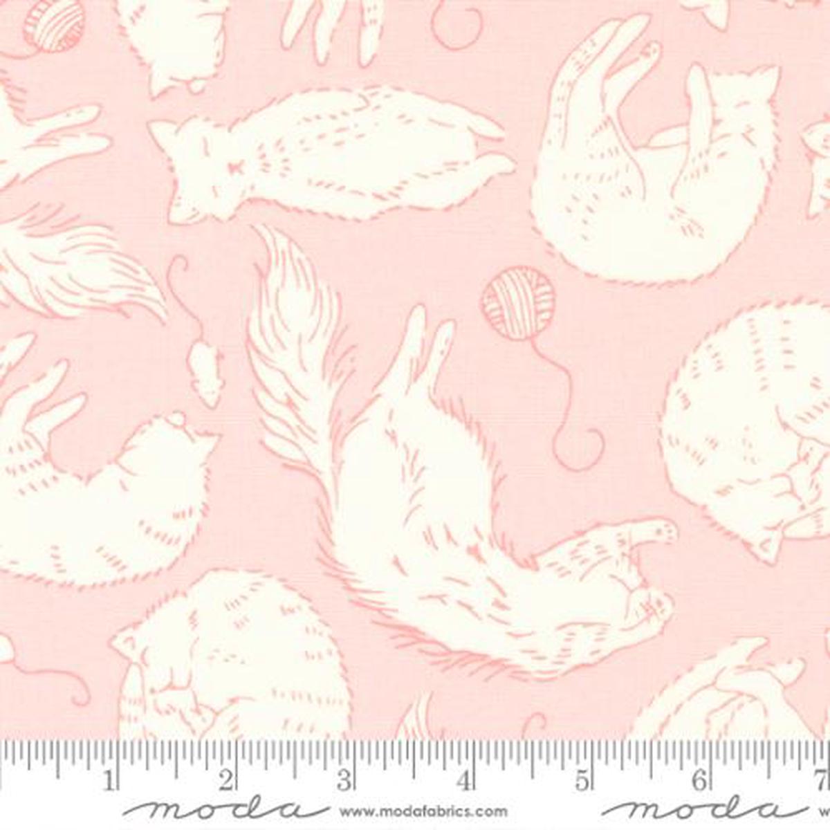 Here Kitty Kitty Collection Sleepy Time Cotton Fabric 20832