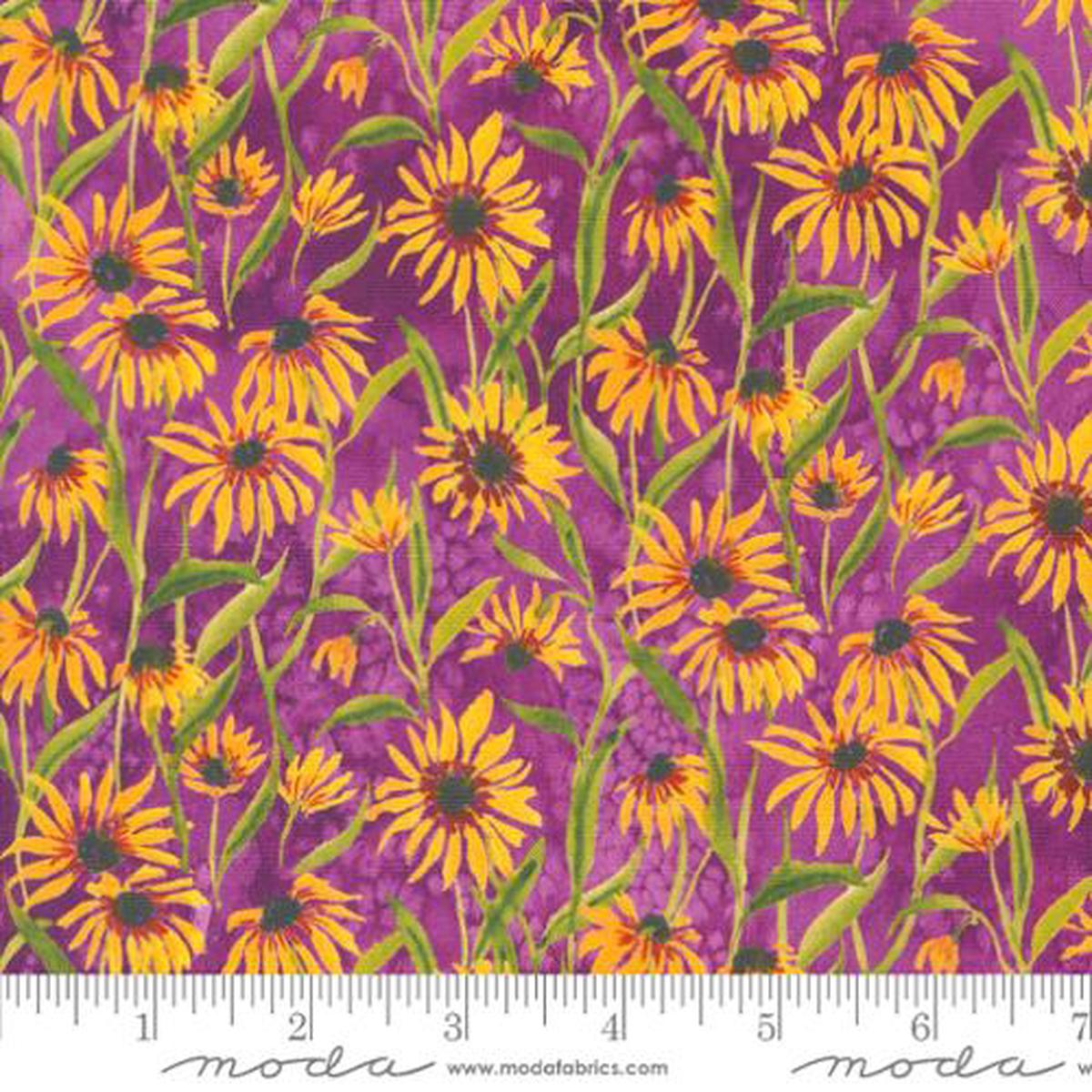 Floribunda Collection Blackeyed Suzie Q Cotton Fabric 39805