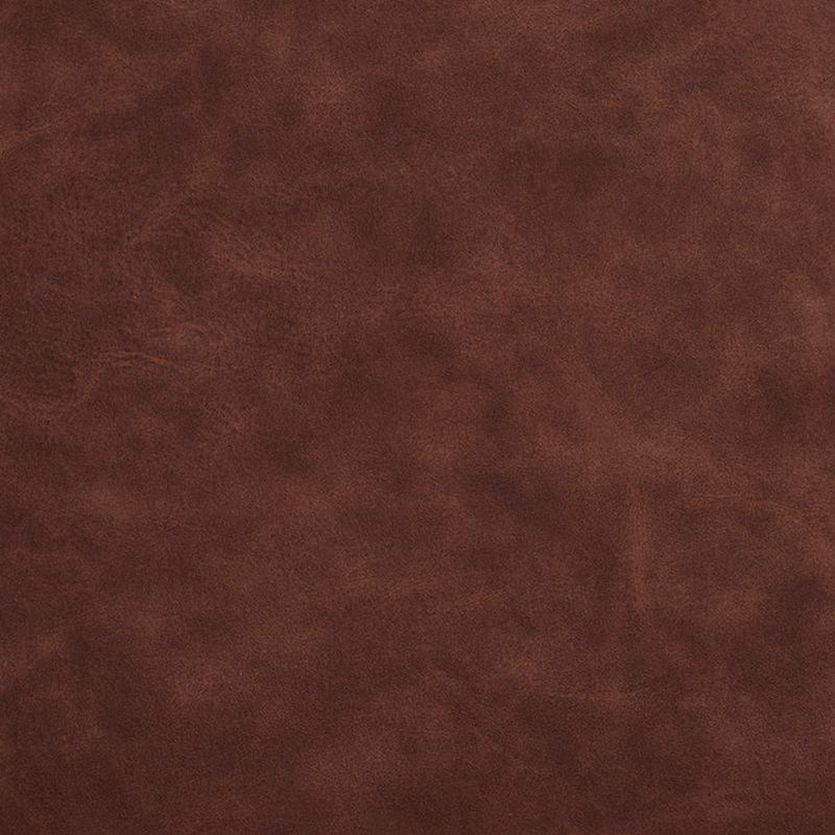 7440 Pecan by Charlotte Fabric
