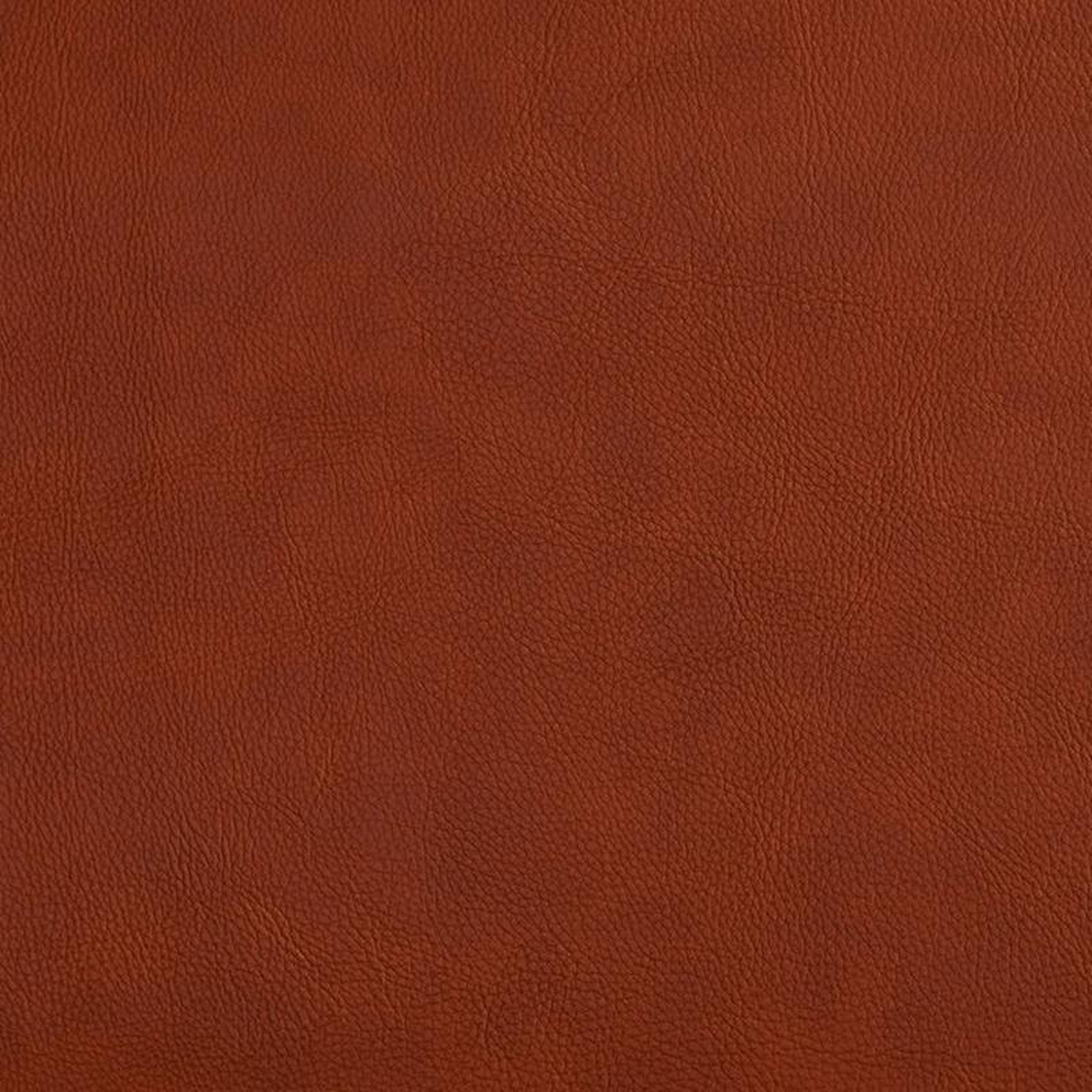 7468 Saddle by Charlotte Fabric