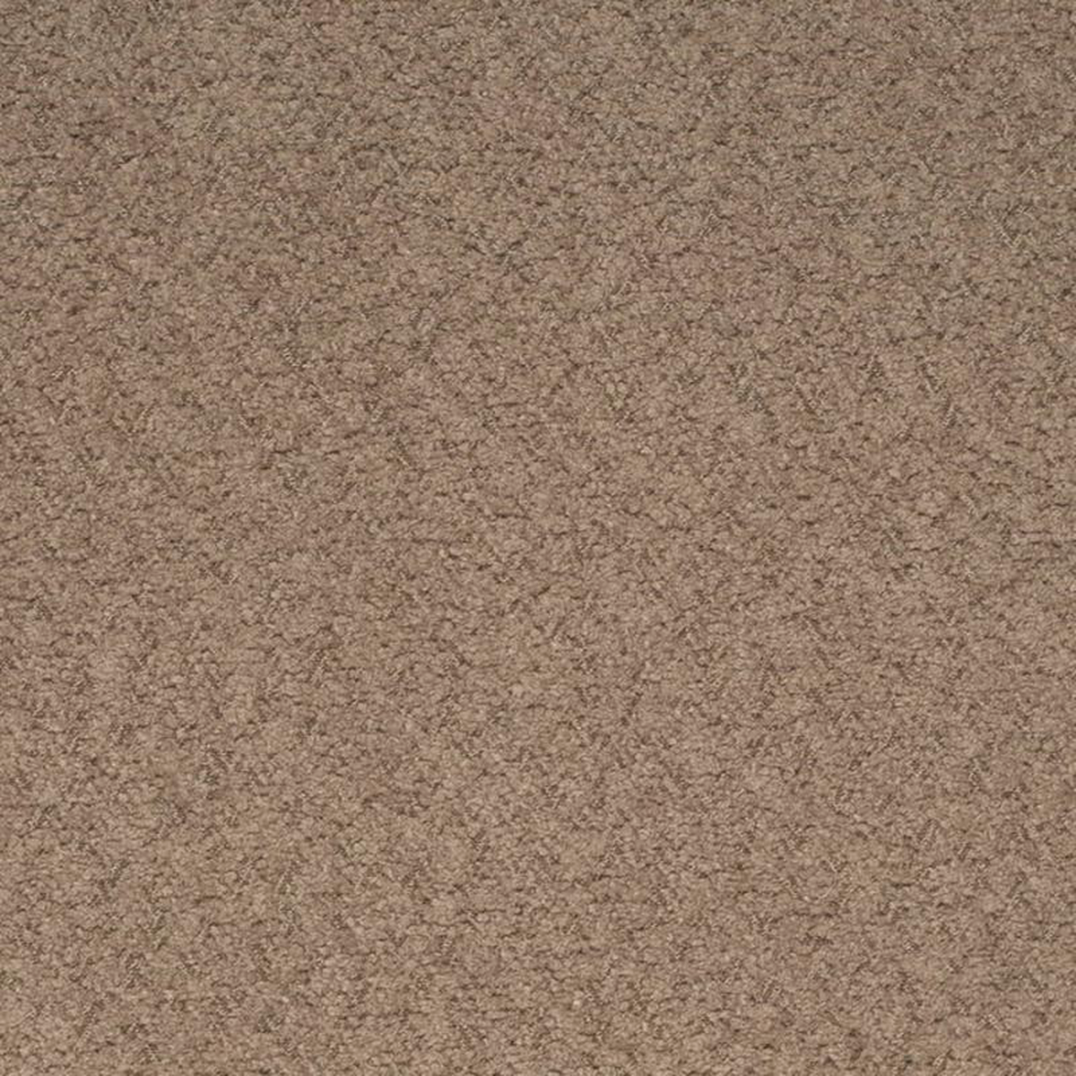D4280 Hazelnut by Charlotte Fabric