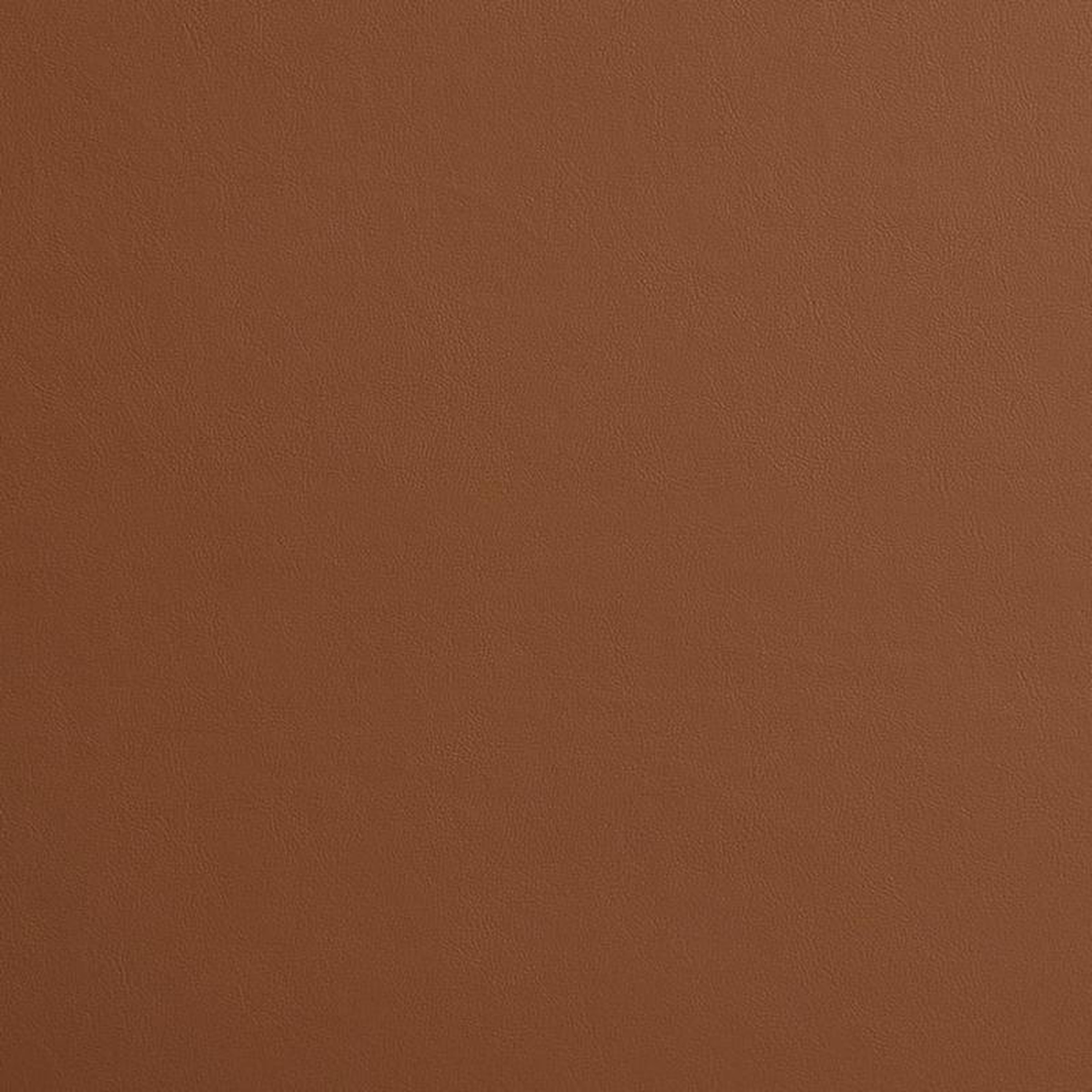 8215 Saddle by Charlotte Fabric