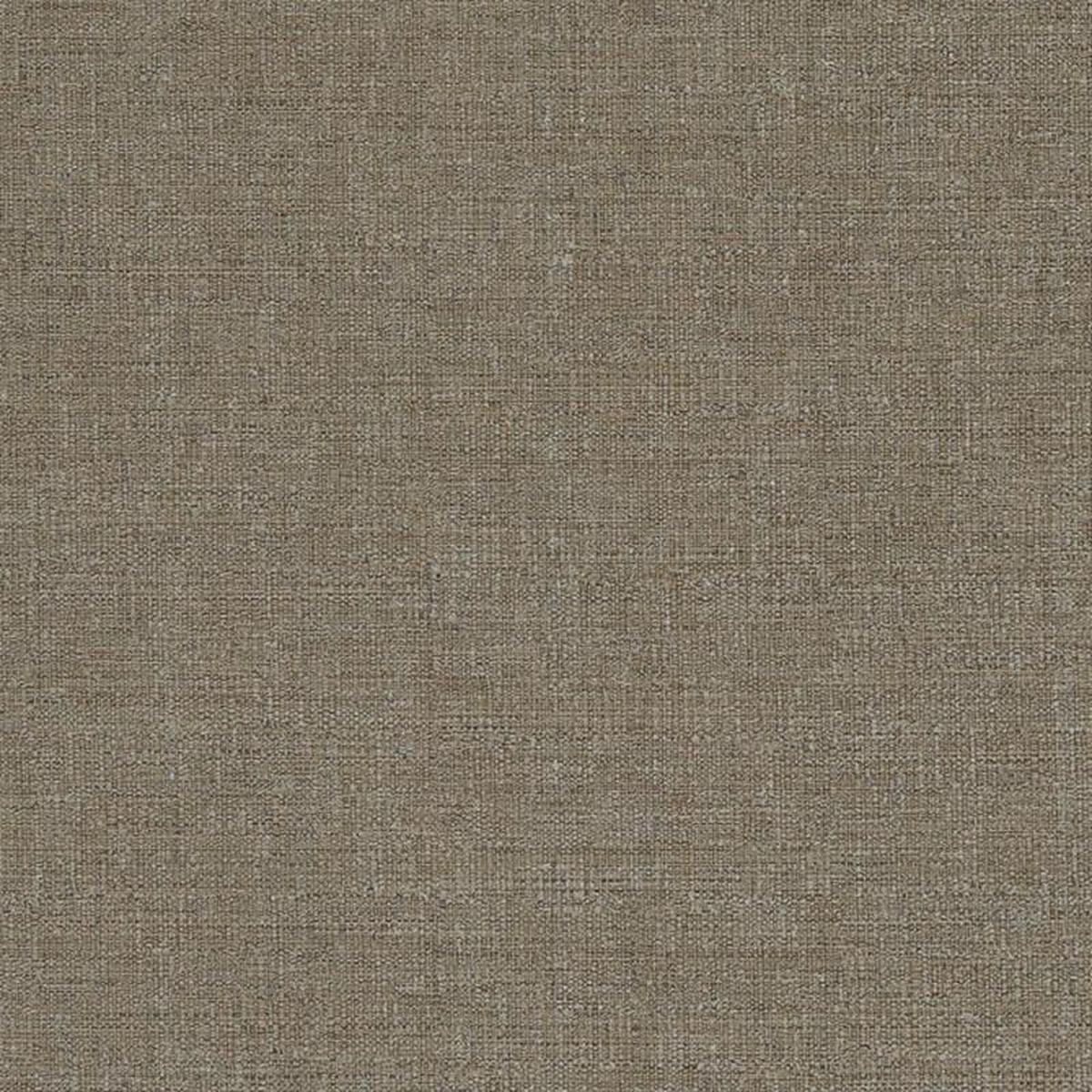 D836 Bark by Charlotte Fabric