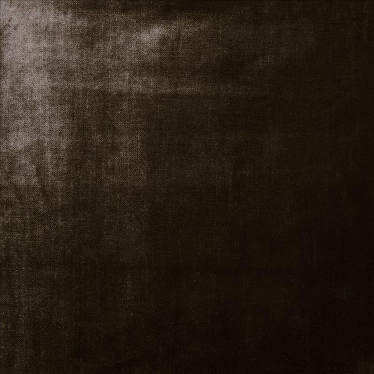 Daring Brown by Kasmir Fabric