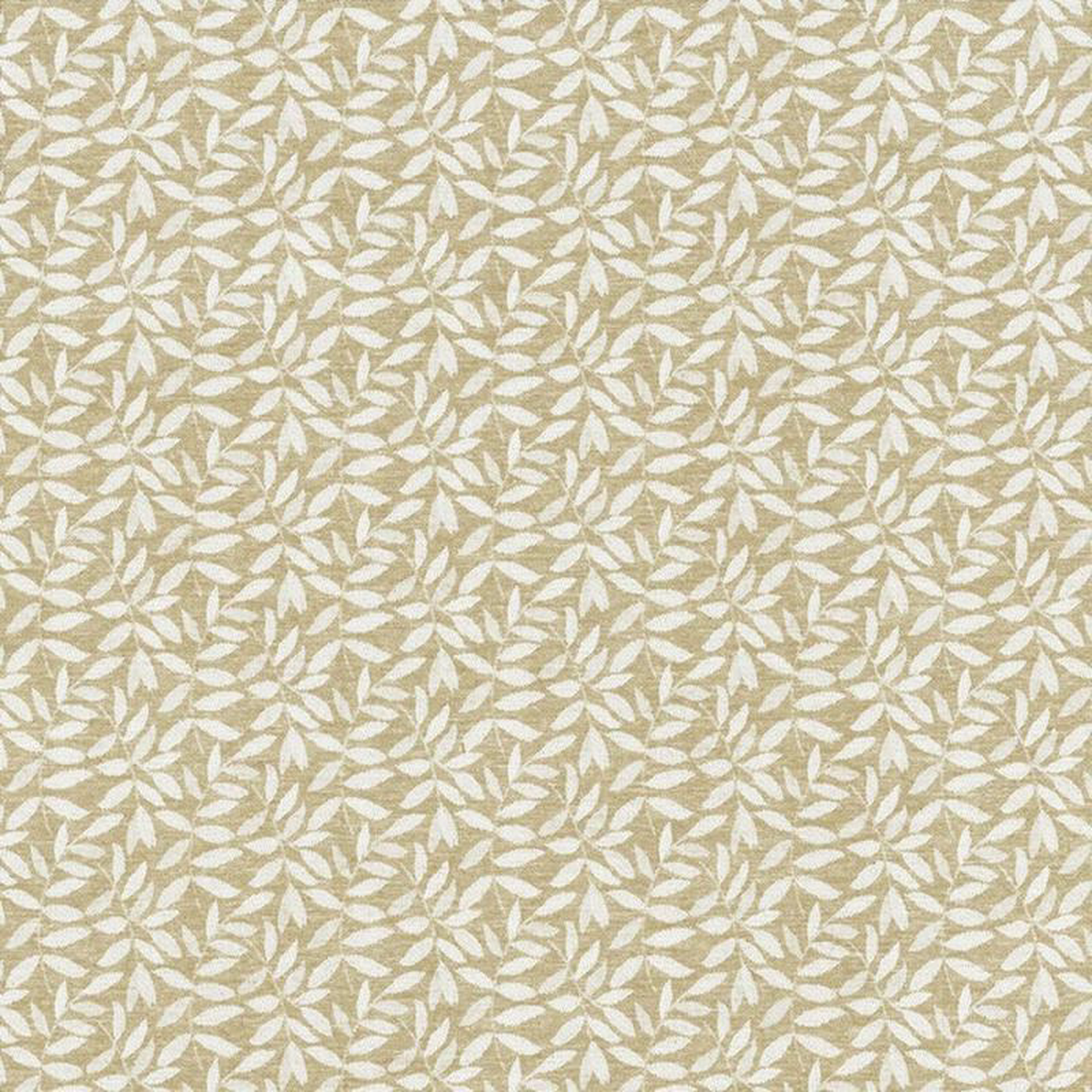 Foliate 110 Taupe by Kasmir Fabric
