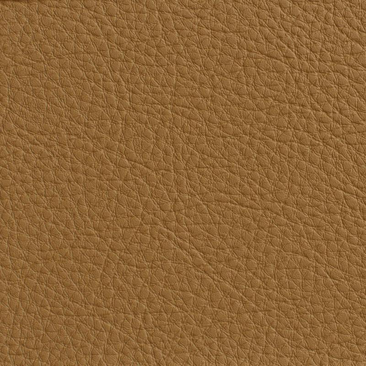 7189 Tan by Charlotte Fabric