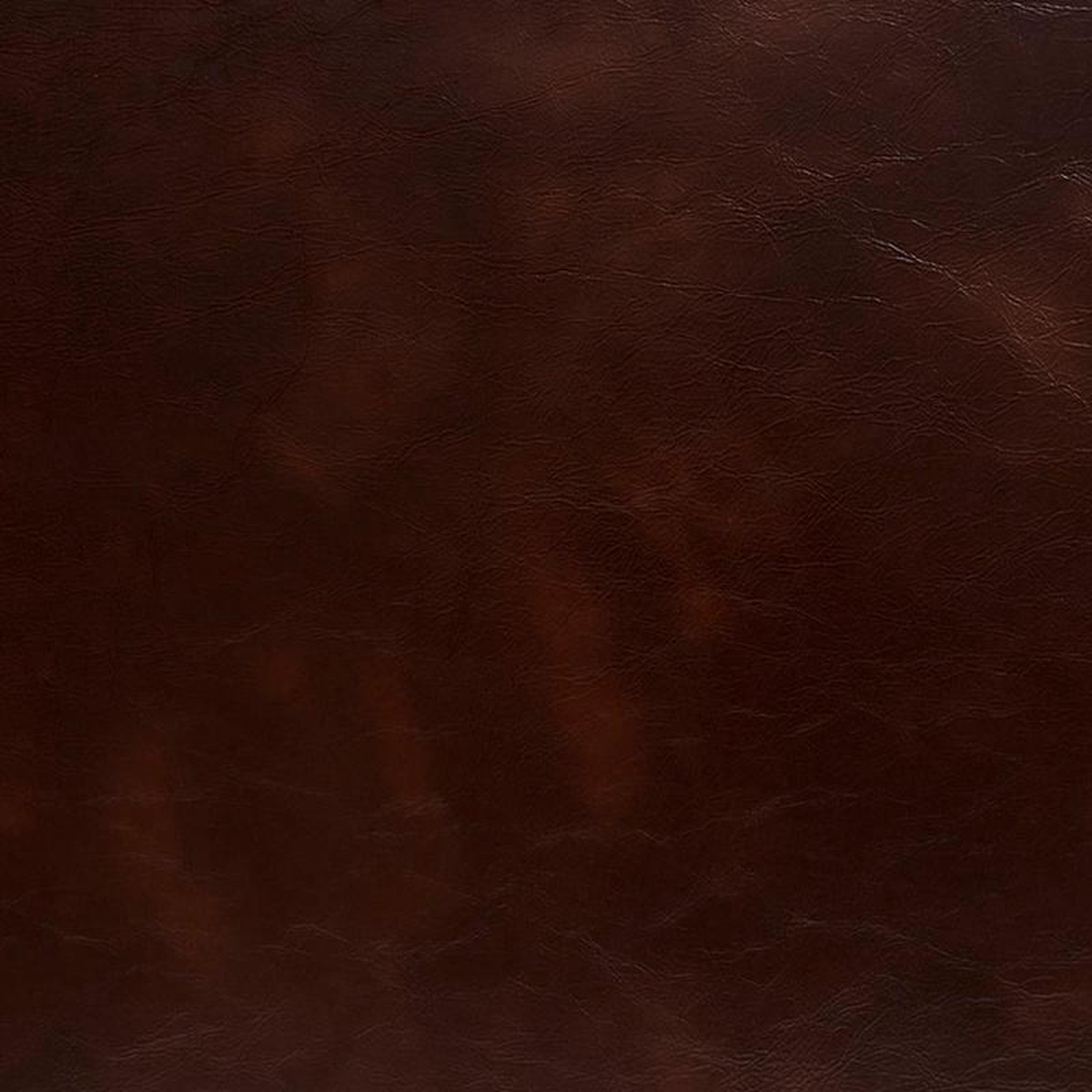 8247 Hickory by Charlotte Fabric
