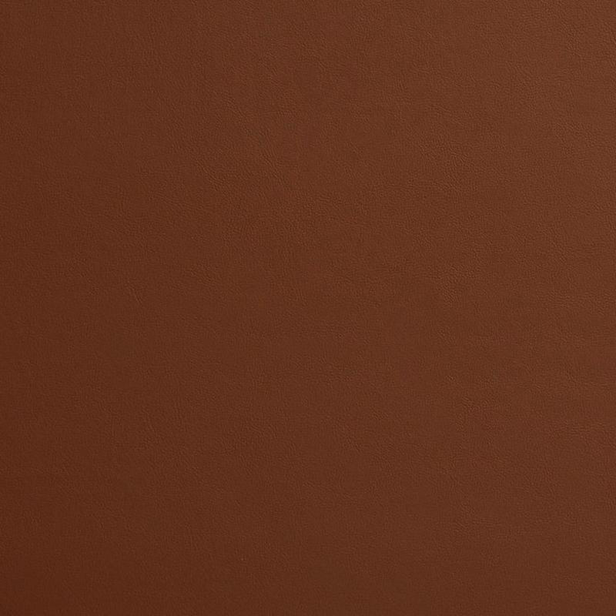 8230 Pecan by Charlotte Fabric