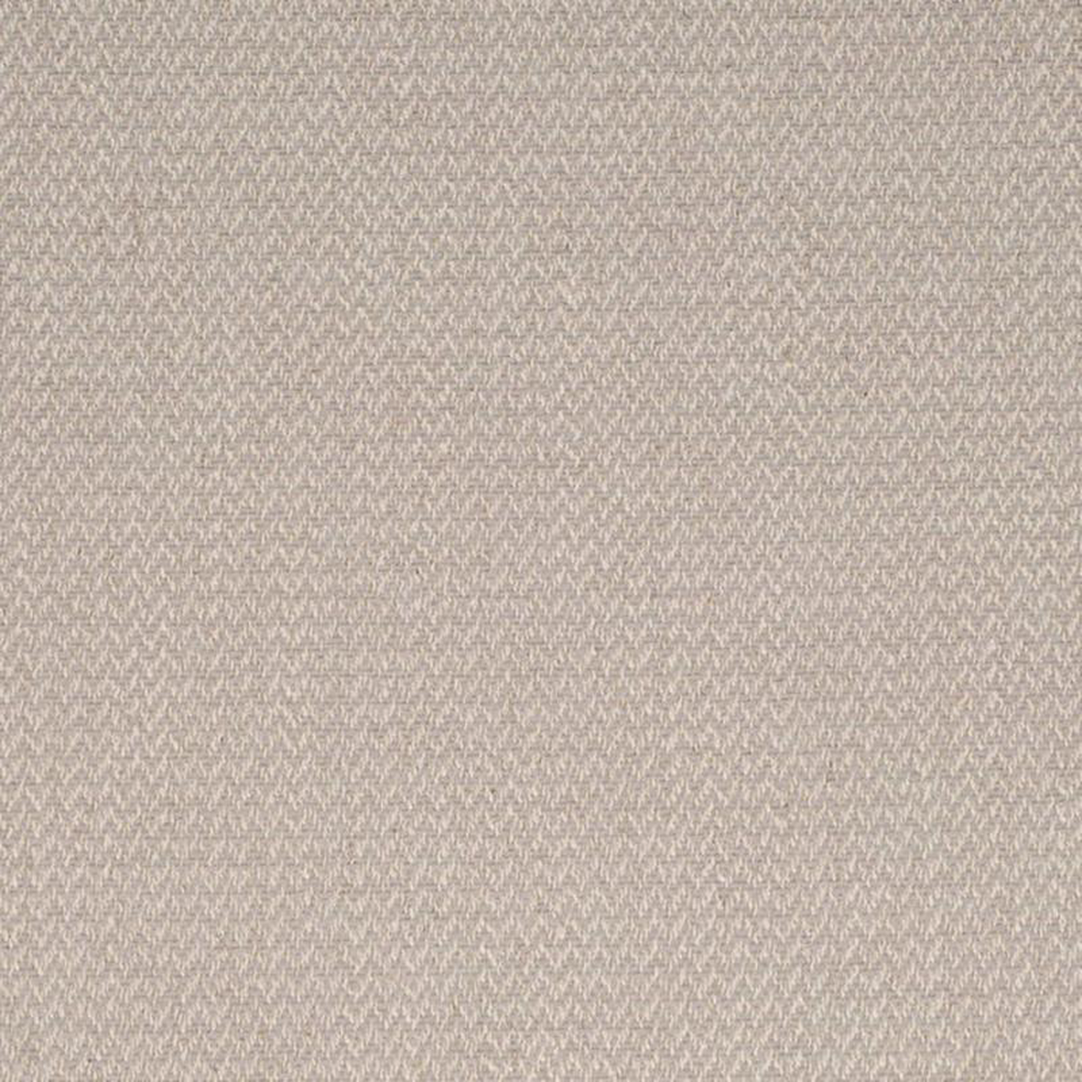 D4263 Pigeon by Charlotte Fabric