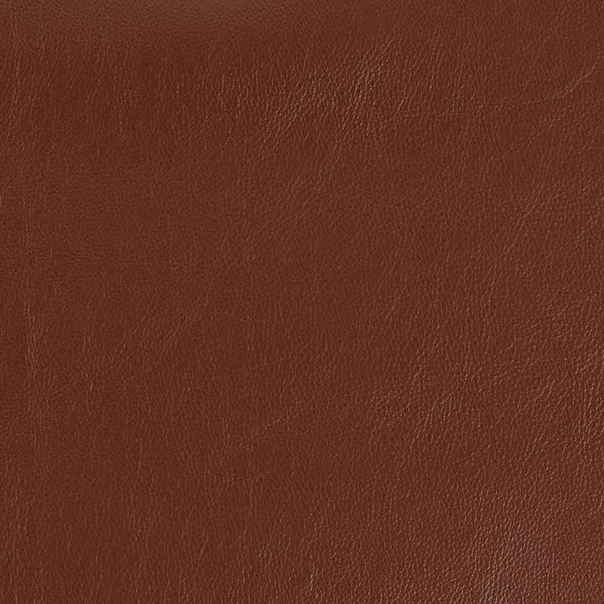 V920 Umber by Charlotte Fabric