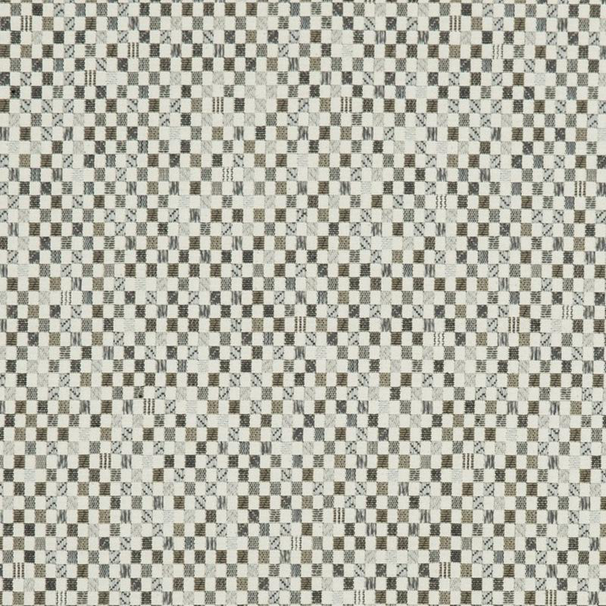 CB800-119 by Charlotte Fabric